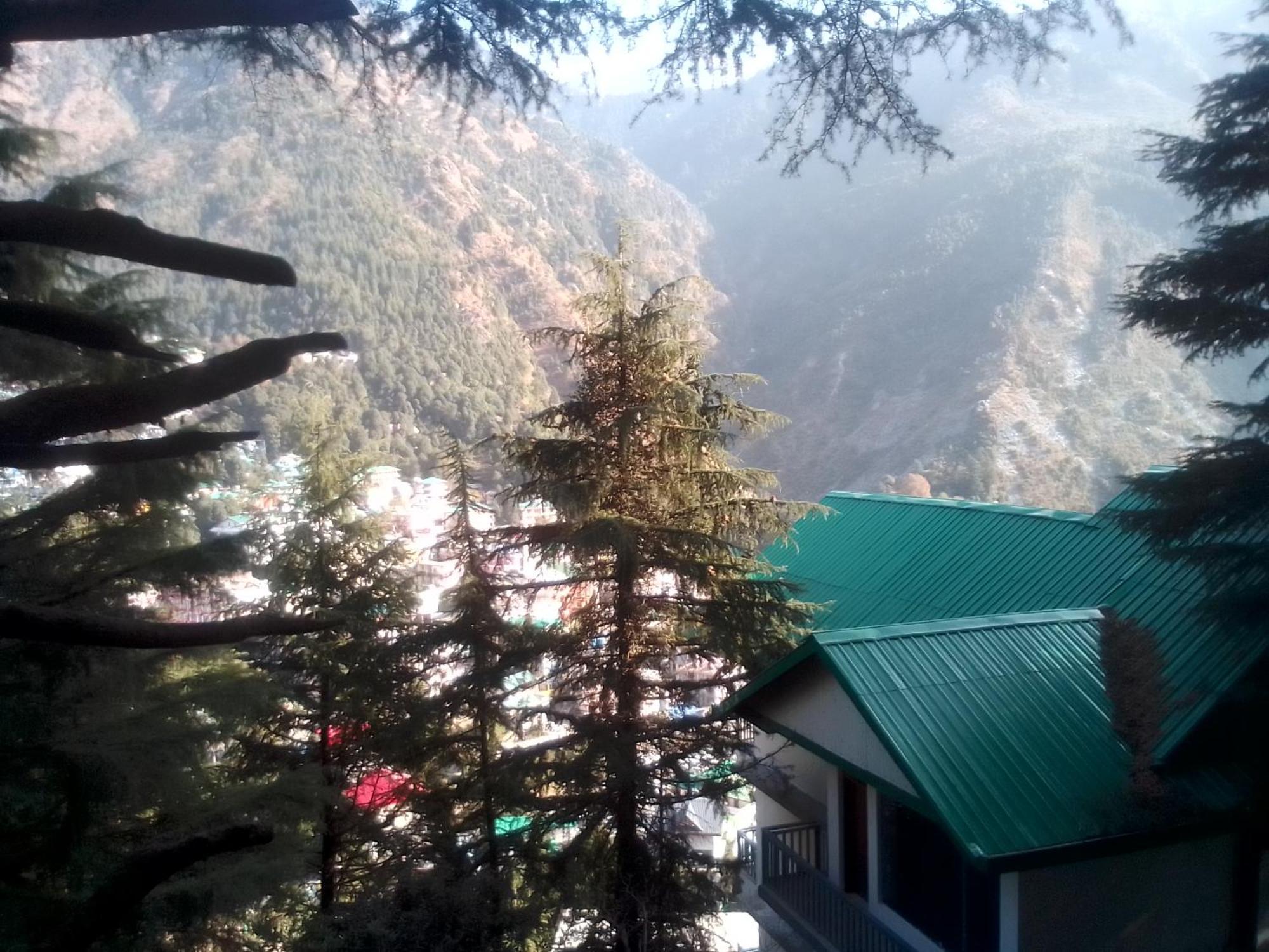 بيت شباب Himalayan Triund Trekking And Mountain View دارامشالا المظهر الخارجي الصورة